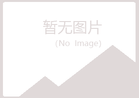 鹤岗兴山字迹咨询有限公司